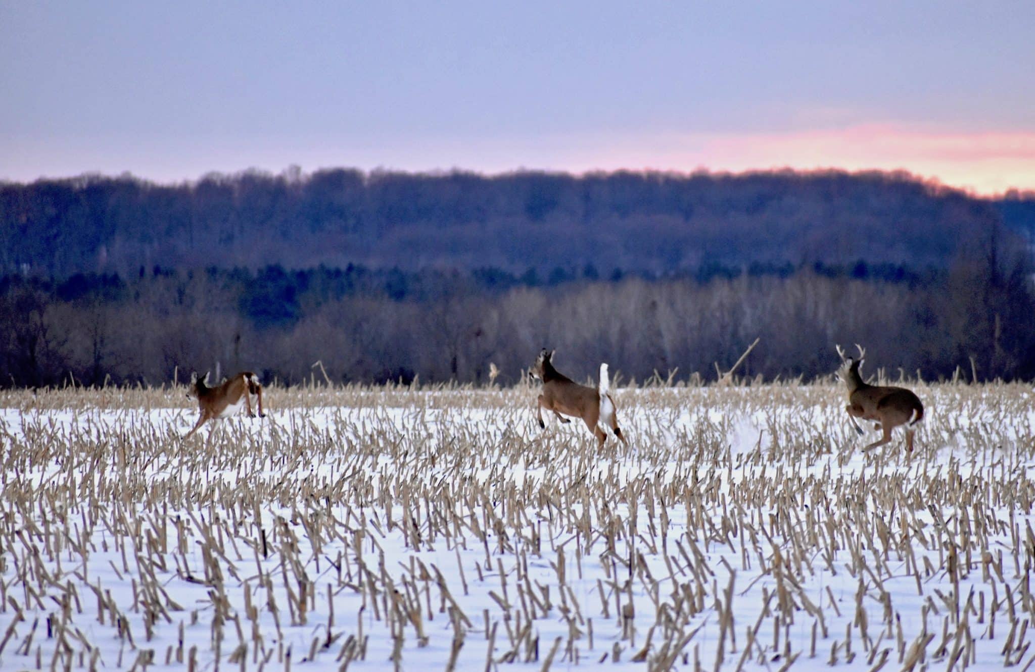 2023 Annual Appeal - Missouri Conservation Heritage Foundation