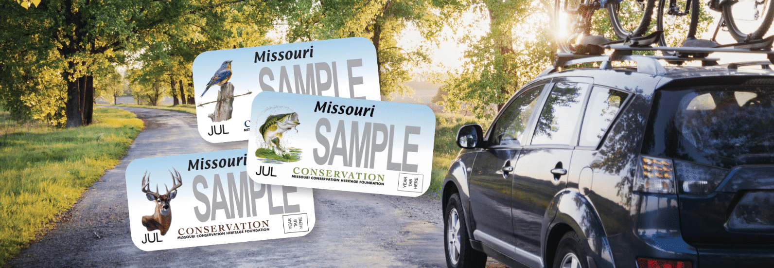 Conservation Heritage License Plates - Missouri Conservation Heritage  Foundation